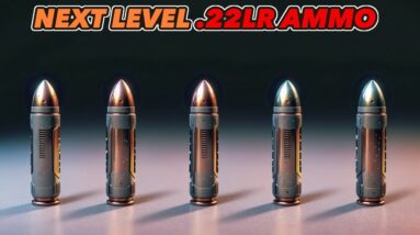 MOST DEADLY .22LR AMMO FOR SELF DEFENCE 2024