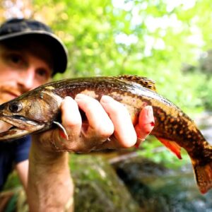 Overnight Mountain Trout Adventure in Remote Canada - Camp, Fish, Wild Forage, Catch and Fire Cook